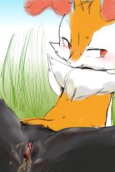 Rule 34 | 1girl, animal ears, arm support, artist request, blush, braixen, clitoris, creatures (company), embarrassed, fox ears, furry, furry female, game freak, gen 6 pokemon, gradient background, grass, looking away, navel, nintendo, outdoors, peeing, pokemon, pokemon (creature), pokemon xy, pussy, red eyes, simple background, sitting, sky, solo, spread legs, sweat, uncensored