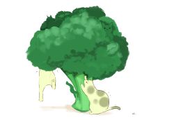Rule 34 | alternate color, black eyes, broccoli, cat, chai (drawingchisanne), closed eyes, commentary request, hanging, highres, in tree, looking up, no humans, original, oversized food, oversized object, peeking out, scratching, shadow, signature, simple background, smile, tree, white background
