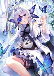 Rule 34 | 1girl, black bow, black bowtie, blue butterfly, blue eyes, blush, bow, bowtie, bug, butterfly, butterfly wings, commentary, commission, dress, flower, flower over eye, frilled dress, frills, head wings, highres, indie virtual youtuber, insect, insect wings, long hair, peri indigo, sitting, skeb commission, solo, symbol-only commentary, virtual youtuber, white hair, wings, yukimichi (nieko)
