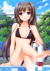 Rule 34 | 1girl, 5pb., absurdres, alpha (yukai na nakamatachi), arm support, barefoot, bench, bikini, blush, breasts, brown hair, chain-link fence, cleavage, cloud, day, feet, fence, foot focus, hair intakes, halterneck, highres, higuchi ririko, crossed legs, long hair, looking at viewer, o-ring, o-ring top, outdoors, parted lips, pool, pool ladder, poolside, purple eyes, scan, sharin no kuni, sharin no kuni himawari no shoujo, sitting, sky, small breasts, soles, solo, swimsuit, toes, tree, water