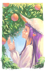Rule 34 | 1girl, absurdres, antenna hair, blue eyes, day, food, fruit, hat, highres, hololive, hololive english, kiwwwwwi, long hair, long sleeves, ninomae ina&#039;nis, open mouth, orange (fruit), orange tree, outdoors, pointy ears, purple hair, resolution mismatch, solo, source smaller, sun hat, tree, virtual youtuber