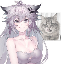 Rule 34 | 1girl, ;q, animal ears, arknights, bare shoulders, breasts, cat, cleavage, collarbone, grey eyes, grey hair, hair ornament, hairclip, highres, lappland (arknights), large breasts, long hair, looking at viewer, one eye closed, scar, scar across eye, sicsic49, smile, strapless, tongue, tongue out, tube top, uneven eyes, upper body, very long hair, wolf ears