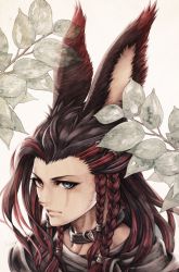 Rule 34 | 1girl, absurdres, animal ears, warrior of light (ff14), braid, brown hair, choker, close-up, fictional persona, final fantasy, final fantasy xiv, heterochromia, highres, leaf, long hair, looking at viewer, mihira (tainosugatayaki), multicolored hair, portrait, rabbit ears, red hair, scar, scar across eye, scar on face, solo, two-tone hair, viera, white background