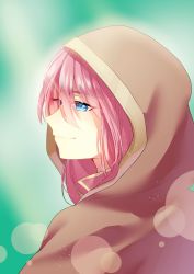Rule 34 | 1girl, aryuma772, blue eyes, blurry, blurry background, closed mouth, from side, hair between eyes, highres, hood, hood up, lens flare, long hair, megurine luka, pink hair, profile, smile, solo, upper body, vocaloid