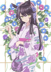 Rule 34 | 1girl, absurdres, alternate costume, animal ears, bandaid, bandaid on face, bandaid on nose, black hair, blue flower, blunt tresses, blush, closed mouth, commentary request, ear ornament, floral background, floral print, flower, highres, horse ears, horse girl, japanese clothes, kimono, long hair, long sleeves, looking at viewer, morning glory, narita brian (umamusume), obi, parted lips, pink flower, pink sash, purple flower, purple kimono, sash, sidelocks, sketch, solo, trellis, tsurubami (gaad5227), umamusume, very long hair, white background, wide sleeves, yellow eyes