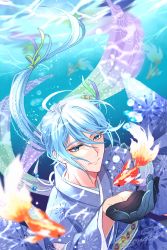 Rule 34 | 1boy, air bubble, black gloves, blue eyes, blue hair, braid, bubble, edmond (nu carnival), gloves, highres, japanese clothes, kimono, koi, light blue hair, long hair, long sleeves, looking at another, low ponytail, male focus, mobugorilla, nu carnival, smile, solo, underwater