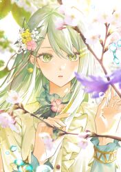 Rule 34 | cherry blossoms, commentary, flower, hair flower, hair ornament, hairclip, highres, hinomori shiho, koukyou suru machi no katasumi de (project sekai), light green hair, long hair, long sleeves, looking at viewer, official alternate costume, official alternate hair length, official alternate hairstyle, parted lips, pink flower, project sekai, seczzsec, symbol-only commentary, very long hair