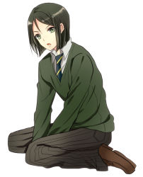 Rule 34 | 1boy, androgynous, bad id, bad pixiv id, black hair, bob cut, fate/stay night, fate/zero, fate (series), green eyes, kneeling, male focus, parted bangs, shoko makiko, short hair, simple background, solo, waver velvet, white background