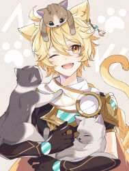 Rule 34 | 1boy, aether (genshin impact), ahoge, animal ears, black gloves, black shirt, blonde hair, blush, braid, cat, cat boy, cat ears, cat tail, earrings, fang, genshin impact, gloves, hair between eyes, highres, jewelry, male focus, mizuamememe, one eye closed, open mouth, scarf, shirt, smile, tail, tongue, white scarf, yellow eyes, yellow tail