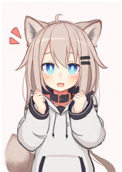 Rule 34 | 1girl, :d, animal collar, animal ears, blue eyes, bone print, collar, commentary request, fang, hair ornament, hairclip, happy, highres, hood, hood down, hoodie, light brown hair, long hair, long sleeves, open mouth, original, reitou mikan, simple background, sketch, smile, solo, tail, white background