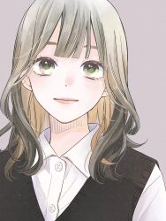 Rule 34 | 1girl, black sweater vest, black vest, blonde hair, brown eyes, closed mouth, collared shirt, colored inner hair, commentary, eyelashes, furusato kou, gradient eyes, green eyes, grey background, grey hair, highres, light blush, lips, looking at viewer, medium hair, multicolored eyes, multicolored hair, original, portrait, shirt, simple background, solo, sweater vest, symbol-only commentary, vest, white shirt, yellow eyes