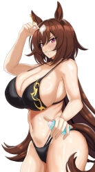 Rule 34 | 1girl, absurdres, alternate costume, animal ears, bare shoulders, bikini, black bikini, bottle, breasts, brown hair, commentary request, cowboy shot, ear ornament, grin, hair between eyes, highres, holding, holding bottle, horse ears, horse girl, horse tail, large breasts, long hair, looking at viewer, multicolored hair, red eyes, revealing clothes, simple background, sirius symboli (umamusume), sky, smile, solo, streaked hair, swimsuit, tail, tessa (uma orfevre), umamusume, very long hair, white background, white hair