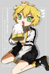 Rule 34 | 1girl, animal, animal on head, between legs, black footwear, black shorts, blonde hair, commentary, cropped jacket, denonbu, fang, full body, green eyes, grey background, hair between eyes, hamkatsu (denonbu), hamster, hand between legs, highres, jacket, long sleeves, looking at viewer, midriff, multicolored hair, on head, open mouth, sai (psy 0), shoes, short hair, shorts, sitting, sleeves past fingers, sleeves past wrists, smile, sneakers, solo, taiga lucia, wariza, white jacket
