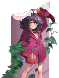 Rule 34 | 1girl, ;p, ahoge, animal ears, black hair, buttons, collarbone, cowboy shot, flat chest, food, holding, holding food, inaba tewi, legs apart, long sleeves, looking at viewer, naked shirt, one eye closed, plant, purple shirt, rabbit ears, radish, red hair, shirt, short hair, sleeves past wrists, smile, solo, tanuk, tongue, tongue out, touhou, vegetable