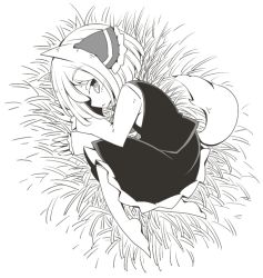 Rule 34 | 1girl, animal ears, ascot, barefoot, dress, greyscale, hair ribbon, hay, jagabutter, long sleeves, looking at viewer, monochrome, parody, ribbon, rumia, solo, spice and wolf, tail, touhou, wolf ears, wolf tail