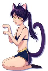 Rule 34 | 1girl, animal ears, black bra, bra, cat ears, cat girl, cat tail, chuurylen, full body, highres, looking at viewer, open mouth, original, paw pose, ponytail, seiza, shorts, simple background, sitting, solo, tail, underwear, white background, yellow eyes