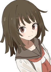 Rule 34 | 1girl, absurdres, brown eyes, brown hair, brown sailor collar, closed mouth, collarbone, commentary request, frown, gazacy (dai), highres, long hair, long sleeves, looking at viewer, monogatari (series), sailor collar, sengoku nadeko, shirt, simple background, solo, sweatdrop, upper body, white background, white shirt