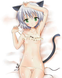 Rule 34 | 00s, 1girl, animal ears, armpits, bad id, bad pixiv id, blush, bra, cat ears, cat tail, flat chest, green eyes, lingerie, lowleg, lowleg panties, lying, natsume fumika, nipples, panties, sanya v. litvyak, short hair, side-tie panties, silver hair, smile, solo, strike witches, tail, thigh gap, thighs, underwear, underwear only, undressing, world witches series