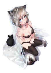 Rule 34 | 1girl, absurdres, animal ear legwear, animal ears, animal print, black bra, black thighhighs, blue eyes, blush, bra, breasts, cat, cat ear legwear, cat ears, cat girl, cat lingerie, cat panties, cat print, cat tail, chestnut mouth, collar, commentary request, hair between eyes, highres, lialli, light brown hair, looking at viewer, looking up, medium breasts, meme attire, navel, nipple slip, nipples, open mouth, original, panties, print panties, ribbon, short hair, sitting, slit pupils, solo, strap slip, tail, tail ornament, tail ribbon, thighhighs, transparent, underwear, white background, white collar