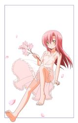 Rule 34 | barefoot, cherry blossoms, dress, hayate no gotoku!, highres, katsura hinagiku, nipples, pink hair, wind, wind lift, yellow eyes