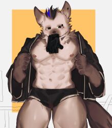 Rule 34 | 1boy, abs, arknights, bara, bare pectorals, black eyes, black jacket, black male underwear, border, bulge, eyebrow piercing, furry, furry male, glove in mouth, gloves, highres, hyena boy, jacket, male focus, male underwear, mouth hold, multicolored hair, navel, nipples, open clothes, open jacket, p7ywirzyw8lesuc, pectorals, piercing, solo, spot (arknights), streaked hair, tail, thighs, underwear, white border, wide sleeves
