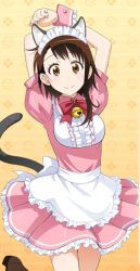 Rule 34 | 10s, 1girl, animal ears, apron, arms up, bell, bow, bowtie, brown eyes, brown hair, cat ears, cat tail, cowboy shot, dress, fake animal ears, leg up, looking at viewer, maid, maid headdress, nisekoi, onodera kosaki, pink dress, red bow, red bowtie, short dress, short hair with long locks, sidelocks, smile, solo, standing, tail, wrist cuffs