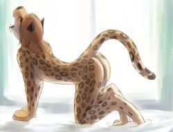 Rule 34 | 1girl, ass, breasts, brown hair, cheetah, female focus, full body, furry, furry female, indoors, nude, open mouth, ryu masakaze, solo