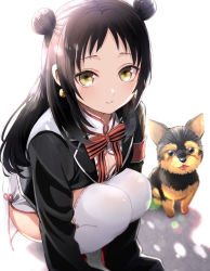 Rule 34 | 1girl, animal, black hair, black jacket, bow, breasts, brown eyes, china dress, chinese clothes, cleavage, cleavage cutout, clothing cutout, commentary request, dog, double bun, dress, forehead, hair bun, highres, jacket, kishuku gakkou no juliet, long hair, long sleeves, looking at viewer, natsupa, open clothes, open jacket, parted lips, red bow, ribbon-trimmed legwear, ribbon trim, sleeves past fingers, sleeves past wrists, small breasts, solo, squatting, striped, striped bow, thighhighs, wang teria, white dress, white thighhighs
