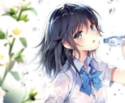 Rule 34 | 1girl, black hair, blue bow, blue bowtie, blue eyes, bottle, bow, bowtie, breasts, collared shirt, eyebrows, flower, holding, looking at viewer, looking to the side, medium breasts, nardack, original, shirt, simple background, solo, white background, white shirt