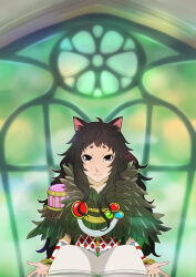 Rule 34 | 1boy, animal ears, argyle, argyle clothes, argyle shirt, black eyes, black hair, book, cat ears, closed mouth, commentary request, detached sleeves, flowery peko, fur collar, holding, holding book, long hair, looking at viewer, male focus, open book, ragnarok online, shirt, short bangs, short eyebrows, smile, solo, sorcerer (ragnarok online), upper body, white shirt, white sleeves, window