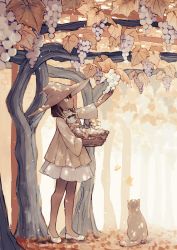 Rule 34 | 1girl, alternate color, animal, autumn, autumn leaves, basket, bow, brown hair, cat, dappled sunlight, day, dress, falling leaves, food, from side, fruit, full body, grapes, hair bow, hair over shoulder, hand up, harvest, hat, highres, hinata (echoloveloli), holding, holding basket, layered dress, leaf, long hair, low-tied long hair, medium hair, nature, original, outdoors, outstretched arms, picking fruit, plant, profile, shoes, short dress, standing, sunlight, tree, vines, white cat, white dress, white footwear, white headwear, witch, witch hat, yellow bow, yellow dress, yellow eyes