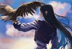 Rule 34 | 1boy, animal, arm at side, bird, black hair, cloud, day, floating hair, from behind, highres, hunter x hunter, illumi zoldyck, landing, long hair, long sleeves, looking at animal, male focus, outdoors, outstretched arm, profile, purple vest, shirt, sky, straight hair, thicopoyo, upper body, very long hair, vest, white shirt