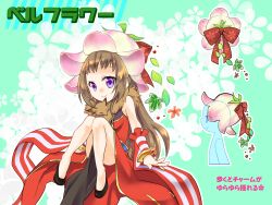 Rule 34 | 1girl, animal, animal around neck, artist request, bangle, black footwear, bow, bracelet, breasts, brown hair, closed mouth, commentary request, detached sleeves, dress, flower hat, fox, full body, hat, hat bow, highres, jewelry, leaf, long hair, looking at viewer, medium breasts, multiple views, pelvic curtain, pink headwear, professor (ragnarok online), purple eyes, ragnarok online, red bow, red dress, red sleeves, shoes, short bangs, sleeveless, sleeveless dress, smile, striped sleeves, white sleeves
