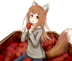 Rule 34 | 1girl, :o, animal ear fluff, animal ears, apple, blue pants, brown hair, food, fruit, holding, holding food, holding fruit, holo, kurosuke (chatnoir evil), long hair, long sleeves, looking at viewer, open mouth, pants, red eyes, simple background, sitting, solo, spice and wolf, tail, white background, wolf ears, wolf tail