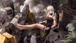 Rule 34 | 1girl, absurdres, animal ears, arknights, arm strap, artist name, bare legs, bare shoulders, barefoot, black dress, blush, box, breasts, cardboard box, cleavage, closed mouth, crossed legs, detached collar, dress, feet on table, frilled dress, frills, full body, highres, indoors, ling dianxia, long hair, looking at viewer, machinery, medium breasts, monitor, official alternate hair length, official alternate hairstyle, plant, potted plant, red eyes, rhodes island logo (arknights), sitting, sleeveless, sleeveless dress, solo, tablet pc, thigh strap, veil, weedy (arknights), white hair, wristband