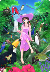 Rule 34 | 00s, 1girl, 2005, animal, animal on shoulder, barefoot, bird, bird on shoulder, blue eyes, brown hair, cockatiel, day, dress, feet, flamingo, flower, forest, hat, hummingbird, nature, new year, original, outdoors, owl, parrot, peacock, penguin, rainforest, shirotsumekusa, sitting, solo, sun hat, too many, toucan, twintails, water, waterfall
