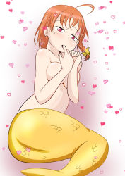 Rule 34 | 10s, 1girl, ahoge, ass, blush, braid, breasts, covering privates, covering breasts, finger in own mouth, fuibu, heart, highres, looking at viewer, love live!, love live! sunshine!!, medium breasts, mermaid, monster girl, orange hair, pink eyes, saliva, scales, short hair, solo, takami chika, topless