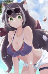 Rule 34 | 1girl, absurdres, alternate breast size, animal ear fluff, animal ears, bare shoulders, beach, bikini, bikini under clothes, black hair, blue bikini, bow, breasts, cat ears, cat girl, cat tail, cleavage, closed mouth, collarbone, comikaku, commentary, commentary request, crab, eyewear on head, female focus, halterneck, highres, karyl (princess connect!), karyl (summer) (princess connect!), leaning forward, long hair, multicolored hair, ocean, open clothes, open shorts, outdoors, palm tree, princess connect!, red bow, short shorts, shorts, sky, solo, streaked hair, sunglasses, sunglasses on head, sunlight, swimsuit, swimsuit under clothes, tail, tree, unbuttoned, water, water drop, white hair