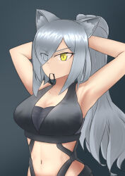 Rule 34 | 1girl, absurdres, afute/aft, animal ears, arknights, armpits, arms behind head, arms up, bare arms, bare shoulders, black background, breasts, cat ears, cleavage, commentary, crop top, grey hair, hair over one eye, hair tie in mouth, highres, large breasts, long hair, midriff, mouth hold, navel, ponytail, schwarz (arknights), sleeveless, solo, stomach, upper body, very long hair, yellow eyes