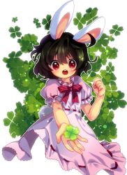 Rule 34 | 1girl, ahoge, amo (shibu3), animal ears, black hair, blush, clover, dress, female focus, four-leaf clover, gift, holding, holding gift, inaba tewi, incoming gift, looking at viewer, messy hair, open clothes, outstretched hand, rabbit ears, rabbit girl, rabbit tail, red eyes, short hair, solo, tail, touhou, upper body