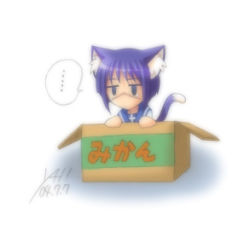 Rule 34 | 00s, animal ears, blue hair, box, busou renkin, cat ears, cat tail, in box, in container, lowres, scar, school uniform, serafuku, tail, tsumura tokiko