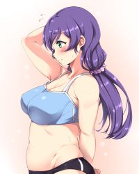 Rule 34 | 10s, 1girl, bare shoulders, blush, breasts, buruma, gradient background, green eyes, highres, large breasts, long hair, love live!, love live! school idol project, low twintails, midriff, moisture (chichi), navel, plump, profile, purple hair, scrunchie, smile, solo, sports bra, tojo nozomi, twintails
