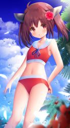 Rule 34 | 1girl, :o, adjusting clothes, adjusting swimsuit, ahoge, bad id, bad pixiv id, bare arms, bare shoulders, bikini, blue ribbon, blue sky, blush, brown hair, cloud, cloudy sky, collarbone, day, flower, hair between eyes, hair flower, hair ornament, headgear, looking at viewer, murano, neck ribbon, outdoors, palm tree, parted lips, petals, red bikini, red flower, ribbon, sailor bikini, sailor collar, sky, solo, swimsuit, touhoku kiritan, tree, twintails, voiceroid, wet, white sailor collar