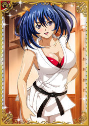 Rule 34 | 00s, 1girl, bashoku youjou, bra, breasts, card (medium), female focus, ikkitousen, large breasts, long hair, looking at viewer, shiny skin, smile, twintails, underwear