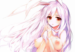 Rule 34 | 1girl, absurdres, animal ears, breasts, completely nude, highres, ke-ta, large breasts, long hair, nipples, nude, open mouth, own hands together, purple hair, rabbit ears, red eyes, reisen udongein inaba, scan, simple background, solo, tareme, touhou, upper body, white background