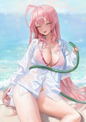 Rule 34 | 1girl, absurdres, ahoge, beach, bikini, bikini under clothes, blue archive, blue sky, breasts, cleavage, commentary, green eyes, halo, hanako (blue archive), hanako (swimsuit) (blue archive), highres, holding, holding hose, hose, large breasts, long hair, looking at viewer, ocean, official alternate costume, open mouth, outdoors, pink hair, pink halo, red bikini, sand, shirt, sitting, sky, smile, solo, swimsuit, thighs, very long hair, water, wet, wet clothes, wet shirt, white shirt, xi xeong