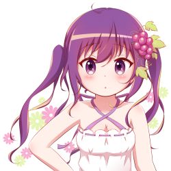 Rule 34 | 1girl, :o, bare arms, bare shoulders, blush, breasts, cleavage, commentary request, criss-cross halter, dress, floral background, food, food-themed hair ornament, fruit, gochuumon wa usagi desu ka?, goth risuto, grapes, hair between eyes, hair ornament, halterneck, long hair, looking at viewer, medium breasts, parted lips, purple eyes, purple hair, ribbon-trimmed dress, simple background, solo, tedeza rize, twintails, upper body, white background, white dress