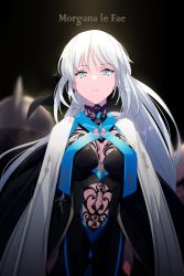 Rule 34 | 1girl, black bow, black dress, blue eyes, bow, braid, breasts, character name, cleavage, dress, echo (circa), fate/grand order, fate (series), french braid, grey hair, hair bow, large breasts, long hair, long sleeves, morgan le fay (fate), morgan le fay (queen of winter) (fate), ponytail, sidelocks, solo, two-tone dress, very long hair, white dress, wide sleeves