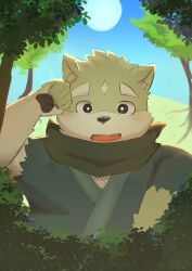 Rule 34 | 1boy, bara, black eyes, black scarf, bright pupils, dog boy, forest, furry, furry male, highres, japanese clothes, komu (komu san08), looking at viewer, male focus, nature, ninja, open mouth, outdoors, pawpads, scarf, solo, the spicy ninja scrolls, tree, wasabi (spicy ninja scrolls), white pupils
