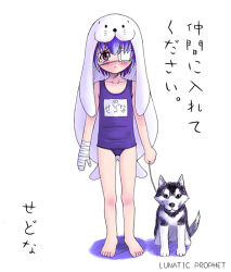 Rule 34 | 1girl, :&lt;, amputee, arimura yuu, bandages, bare shoulders, barefoot, blue hair, character name, dog, eyepatch, full body, husband and wife, leash, name tag, one-eyed, one-piece swimsuit, original, personification, planet, red eyes, school swimsuit, seal (animal), sedna&#039;s husband, sedna (minor planet), sedna (mythology), shadow, signature, simple background, swimsuit, tears, typo, white background